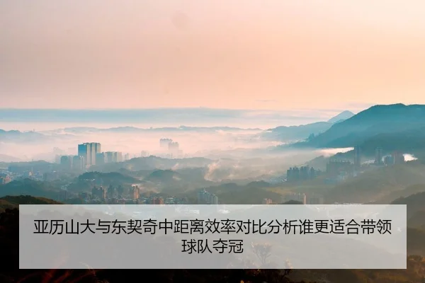 亚历山大与东契奇中距离效率对比分析谁更适合带领球队夺冠