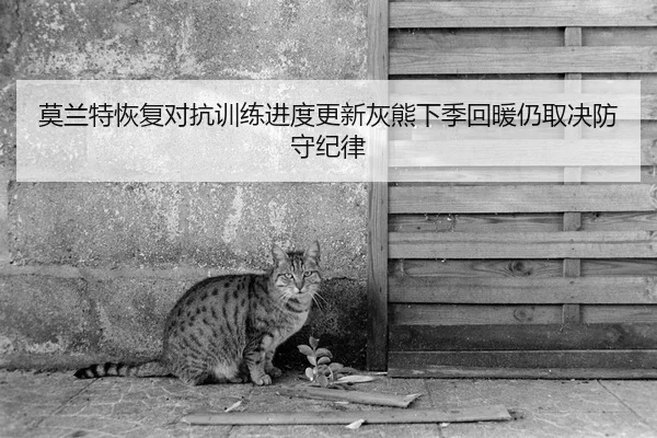 莫兰特恢复对抗训练进度更新灰熊下季回暖仍取决防守纪律