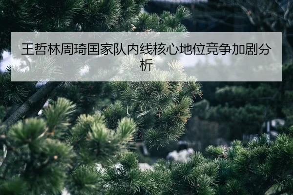 wang-zhe-lin-zhou-qi-guo-jia-dui-nei-xian-he-xin-di-wei-jing-zheng-jia-ju-fen-xi-2-965.jpg