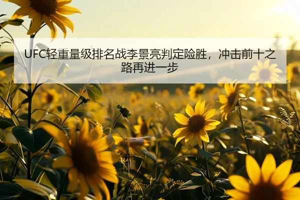 UFC轻重量级排名战李景亮判定险胜，冲击前十之路再进一步